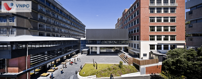 Victoria University of Wellington: Chương trình học, điều kiện, học phí MỚI NHẤT